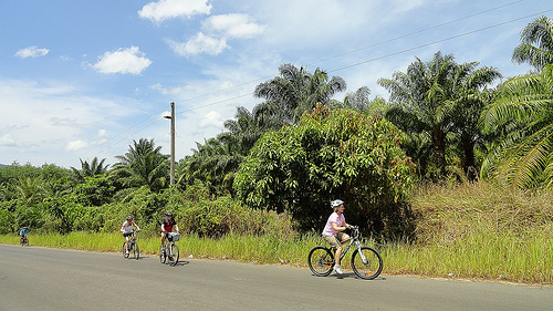 Unternehmungen Phuket