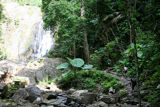 Unternehmungen Phuket