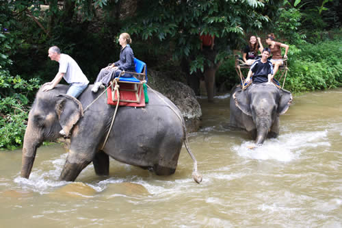 Phuket Rafting Tour - Elephant Trekking