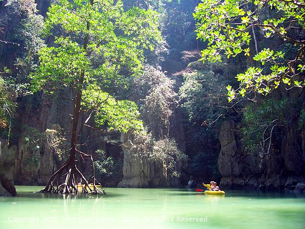 John Gray’s Hong By Starlight Tour