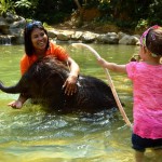 Baby Elephant Bathing in Kapong