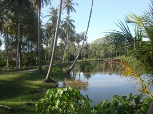 Phuket Phuket Inselhüpfen