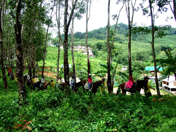 Phuket Reiten