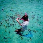 Snorkeling a Phi Phi Island