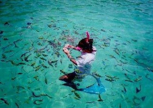 Snorkeling a Phi Phi Island