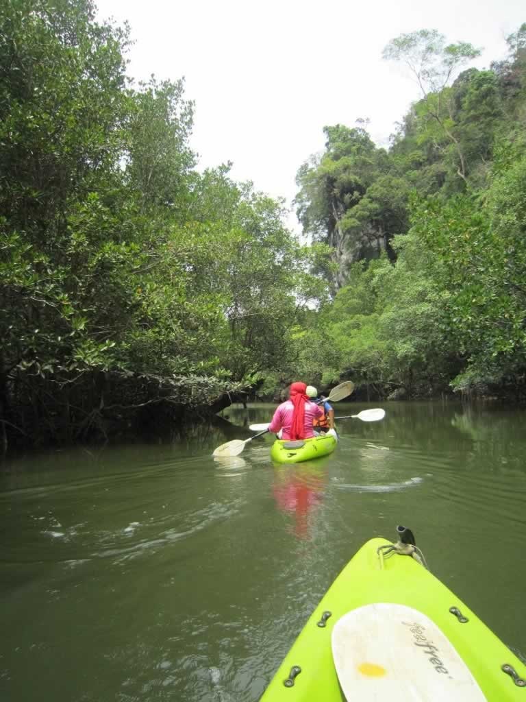 Krabi Tours -Kayaking fun