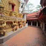 Krabi Tours Wat Bang Rieng