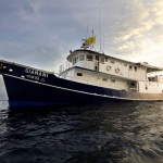 Bootsausflug Phi Phi Island mit Übernachtung auf der MV Giamani