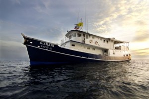 Bootsausflug nach Phi Phi Island mit Übernachtung
