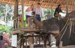 Elephant Trekking Phuket - Get on it