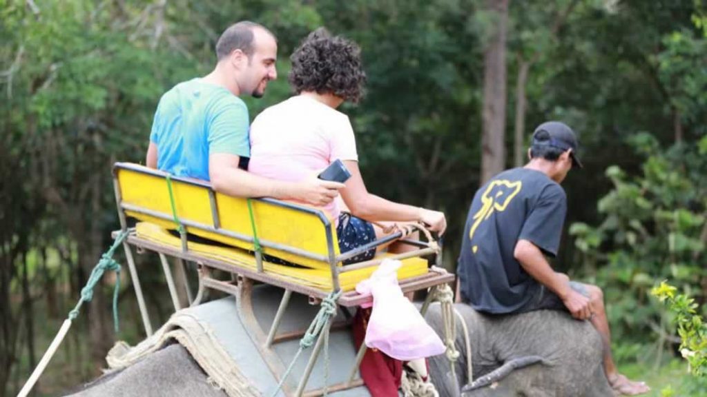 Elephant Trekking Phuket Island
