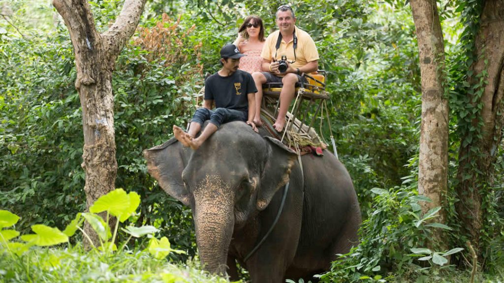 Elephant Trekking Phuket - Jungle Ride