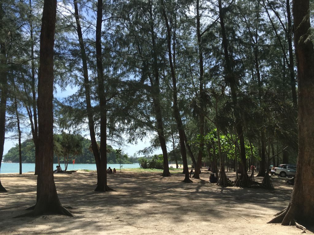 pineta Layan beach