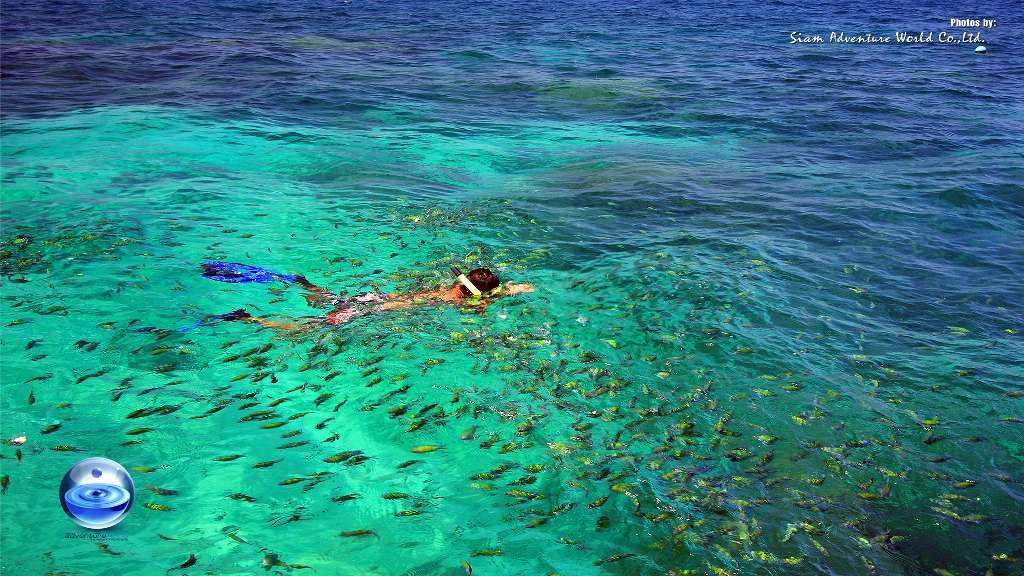 Phi Phi Island Overnight Tour