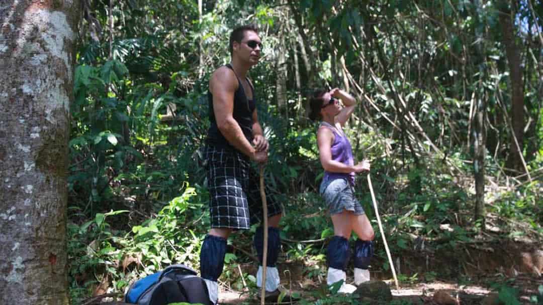 Jungle Walk at Khao Sok