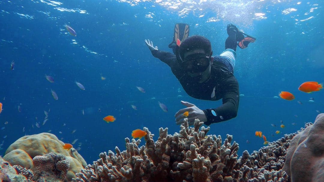 Surin Islands Overnight Snorkeling Tours The BEST Snorkeling in Thailand!