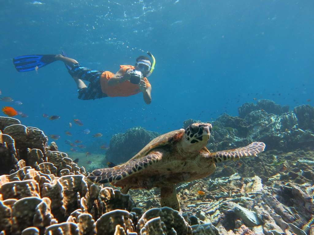 Phi Phi Island & James Bond Island Tour