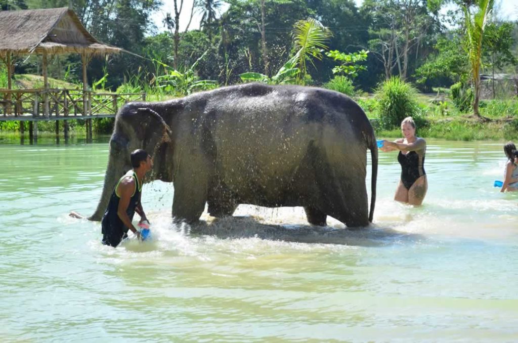 Elephant Sanctuary Phuket bathing
