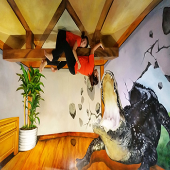 Trick Eye Museum Crocodile